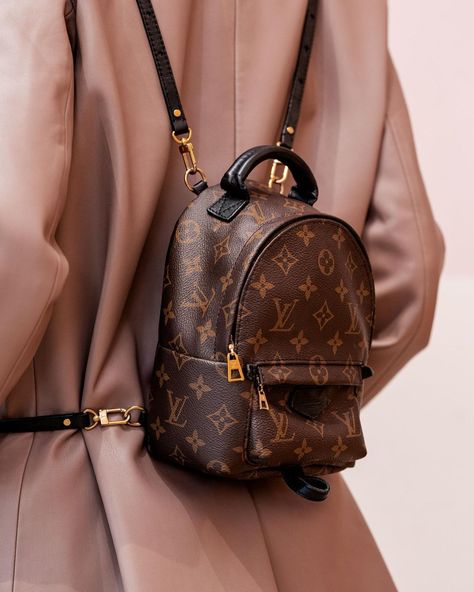 Luxury Brand Backpack, Luxury Mini Backpack, Lv Palm Springs Mini, Mini Palm Springs Backpack, Lv Mini Backpack, Mochila Louis Vuitton, Brown Shoes Outfit, Backpack Louis Vuitton, Louis Vuitton Mini Bag