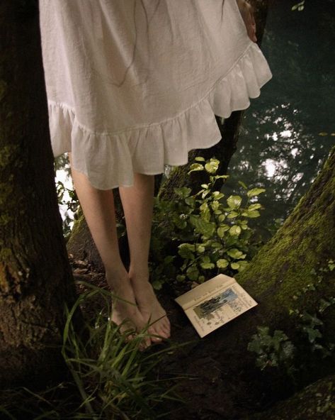 In The Woods, A Tree, A Book, A Woman