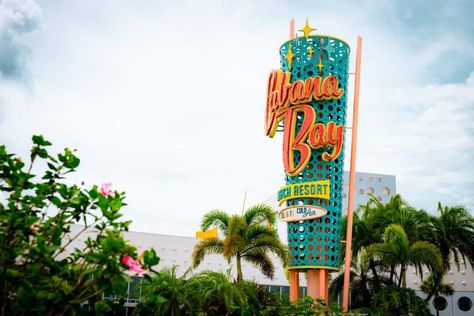 Gatorland Orlando, Cabana Bay Beach Resort, Cabana Bay, Universal Vacation, Vacation Savings, Volcano Bay, Seaworld Orlando, Universal Orlando Resort, Orlando Resorts