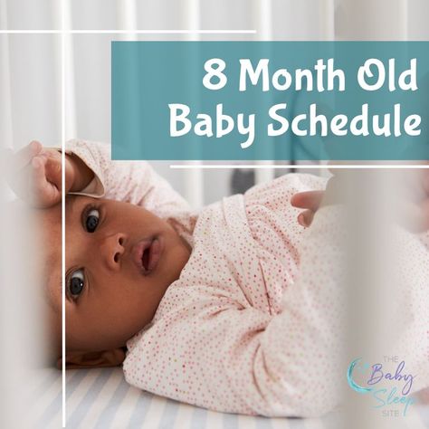 8 month old baby sleep and feeding schedules 8 Month Old Schedule, Baby Sleep Through The Night, 8 Month Baby, Formula Feeding, Baby Schedule, Help Baby Sleep, Sleep Consultant, Toddler Sleep, Sleep Schedule