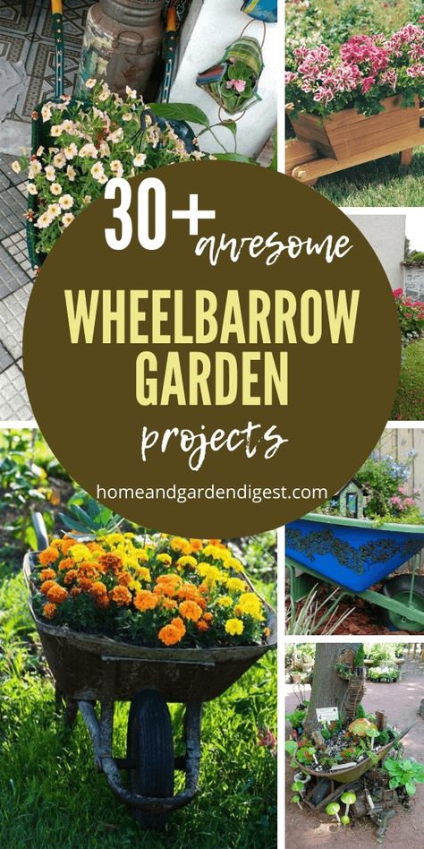 30+ Creative DIY WheelBarrow Garden Projects 64 Pumpkins In Wheelbarrow, Wheel Barrel Garden Ideas, Wheelbarrow Planter Ideas, Wheel Barrel Planter, Diy Wheelbarrow, Wheelbarrow Decor, Wooden Wheelbarrow, Wheelbarrow Planter, Concrete Leaves