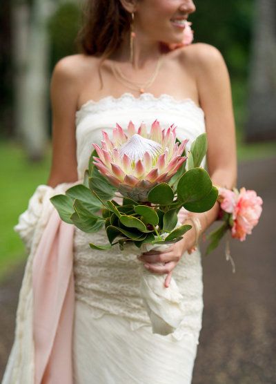 Protea Bouquet Wedding, Sara Donaldson, Real Wedding Flowers, Tropical Wedding Bouquets, Protea Wedding, Protea Bouquet, Safari Wedding, Hawaii Weddings, King Protea