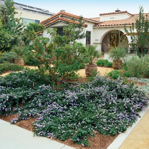 Native plants and permeable paving are both Earth-friendly and attractive Water Wise Front Yard, Lawn Free Yard, Low Water Landscaping, Backyard Ideas For Small Yards, Drought Tolerant Garden, Waterwise Garden, Drought Tolerant Landscape, Front Yard Design, Garden Makeover