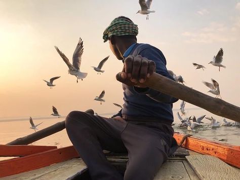 Simple is Beautiful on Instagram: “Photo by Kristian Cruz #kristiancruz #seagull #simpleisbeautifulphotography #photography #art #photographer #photogallery #nature…” Photography Competitions, Street Photographers, Photography Awards, Chengdu, Iphone Photos, Varanasi, Human Emotions, Iphone Photography, Award Winner