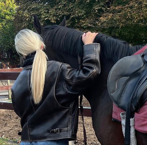 Blonde Equestrian, Horse Girl Aesthetic, Equestrian Aesthetic, Equestrian Girls, Types Of Horses, Horse Aesthetic, Horse Videos, Equestrian Life, Cute Horses