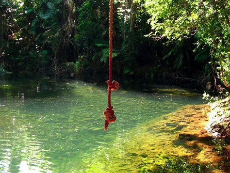 Adventure Journal, Swimming Hole, Watering Hole, Swimming Holes, The List, Swimming, Trees, Sun, Water