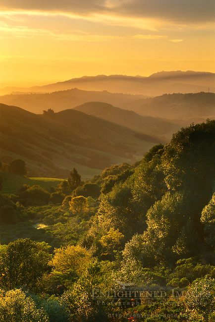 Spring sunrise over green hills, near Orinda, CALIFORNIA Orinda California, Spring Landscapes, Spring Sunrise, Put Yourself Out There, Spring Court, Camp Jupiter, Green Hills, Morning Sunrise, East Bay