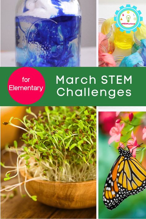 March Stem Activities Elementary, March Stem Activities, March Stem Challenges, March Stem, Elementary Science Fair Projects, Makerspace Activities, Spring Stem, Stem Lesson Plans, How Plants Grow