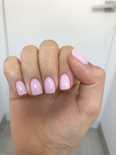 Pastel Pink Shellac Nails, Cute Short Acrylic Nails Light Pink, Short Pink Shellac Nails, Soft Pink Gel Nails Short, Short Light Pink Dip Nails, Pink Sns Nails Short, Short Square Nails Light Pink, Pale Pink Sns Nails, Short Light Pink Nails Square