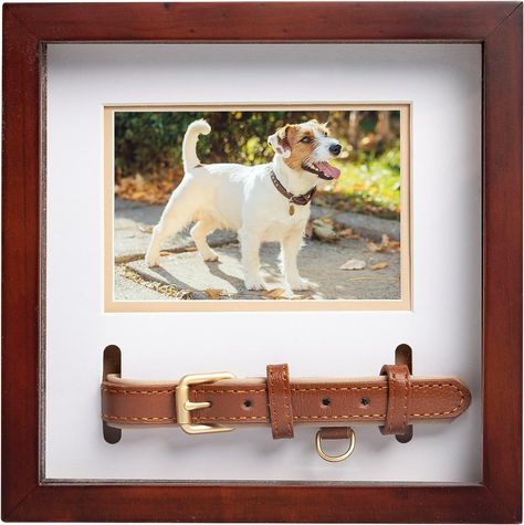 Display your pet’s collar right next to your favorite photo of them with this wood and glass shadowbox keepsake frame by Pearhead – every time you pass this frame, you’ll be able to cherish the memories that you and your best friend shared Small Pug, Dog Picture Frames, Pet Frame, Pet Keepsake, Dog Died, Small Animal Supplies, Dog Pin, Dog Memorial, Memorial Keepsakes