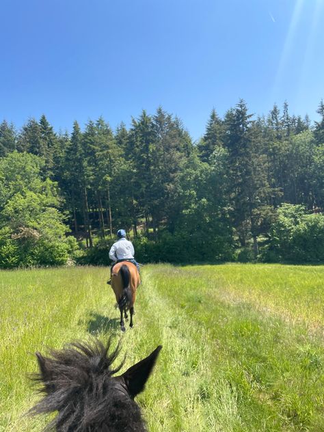 Summer Horse Aesthetic, Horse Field Aesthetic, Horse Camp Aesthetic, Horse Summer Aesthetic, Hacking Horse, Eventing Aesthetic, Horse Rider Aesthetic, Horse Hacking, Summer Horse Riding