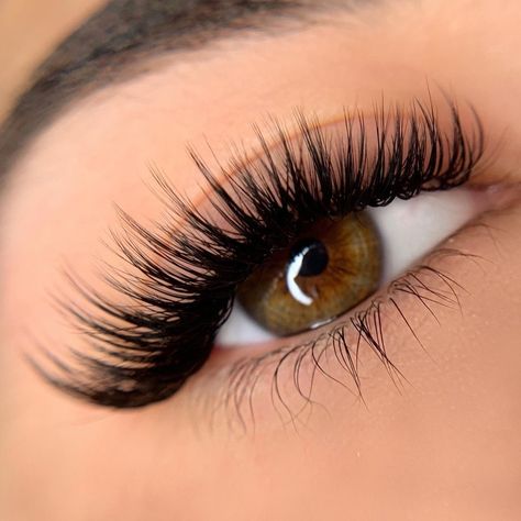 Lash Shapes, Natural Fake Eyelashes, Eye Makeup Images, Lashes Fake Eyelashes, Lash Extensions Makeup, Professional Eyelash Extensions, Perfect Eyelashes, Pretty Lashes, Natural Eyelash Extensions