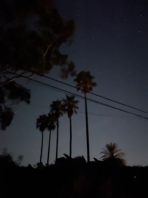 Night sky stars palm tree malibu stargazing Malibu Nights, Books 2024, Sky Stars, Ice Breaker Games, Ice Breaker, Venom, Night Sky, Night Skies, Palm Tree