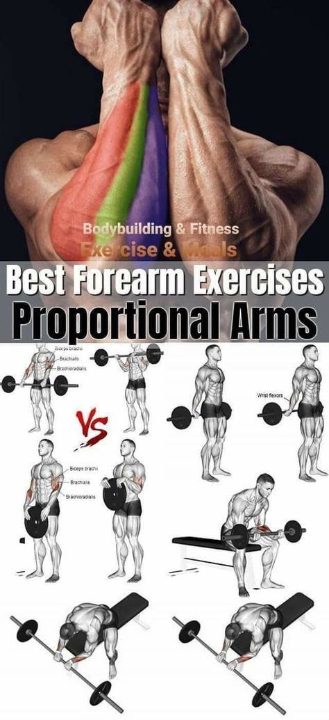 Fore Arms Exercise, Forearm Muscles Workout, Forearm Workouts, Hand Workout, Best Forearm Exercises, Forearm Exercises, Forearm Workout, Latihan Dada, Gym Workout Planner