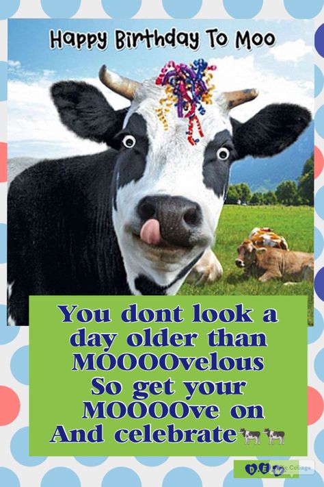 DEW used a Pinterest post and Pic collage to create this birthday greeting Happy Birthday Cow, Birthday Cow, Funny Happy Birthday Pictures, Funny Happy Birthday Wishes, Anniversaire Diy, Moving Eyes, Cow Birthday, Funny Cow, Birthday Wishes Funny