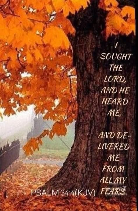 Fall Bible Verses, King James Bible Verses, Bible Verse Background, Ask God, Bible Quotes Images, Healing Scriptures, Powerful Bible Verses, Encouraging Scripture, Prayer Verses