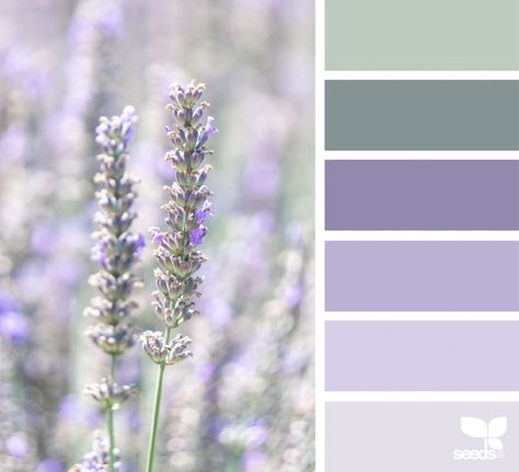 Nature Tones Lavender And Sage Palette, Color Pallets With Lavender, Lilac And Green Bathroom, Lavender Sage Bedroom, Sage Green And Lavender Bathroom, Sage And Purple Bathroom, Lavender And Sage Living Room, Lavender Sage Color Palette, Sage Green And Purple Nursery