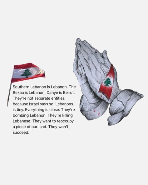 🇱🇧❤️‍🩹🕊️ #lebanon #lebanese #whatsuplebanon #lebanoninapicture #bekaa #southernlebanon #dahye #beirut #lebanonnews Lebanon Independence Day, Beirut, Lebanon, Independence Day, Quick Saves