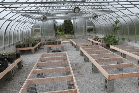 layout of greenhouse - Google Search Diy Greenhouse Tables, Greenhouse Table Ideas, Greenhouse Tables Diy, Commercial Greenhouse Ideas, Greenhouse Set Up Inside, Farm Layout 10 Acres, Greenhouse Tables, Hydroponic Herb Garden, Greenhouse Benches