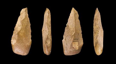 Acheulean Tool Culture developed about 1.7 million years ago by Homo Habilis and later used widely by Homo Erectus. Homo Heidelbergensis, Amiens France, Homo Habilis, Stone Age Tools, Stone Tools, Before The Dawn, Archaeology News, Early Humans, Human Evolution