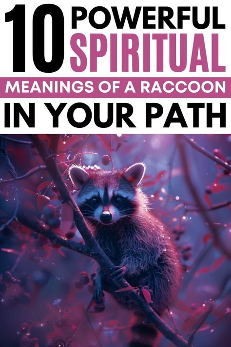 Raccoon Symbolism & Meanings Raccoon Spiritual Meaning, Raccoon Spirit Animal, Meaning Of Animals, Spirit Animal Meaning, Night Meaning, Animal Meanings, Spiritual Animal, Baby Raccoon, Animal Spirit Guides