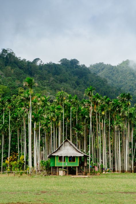 Guinea Country, Scuba Diving Australia, Oceania Travel, Destination Voyage, New Guinea, Island Home, Pirates Of The Caribbean, Secondary School, Island Life