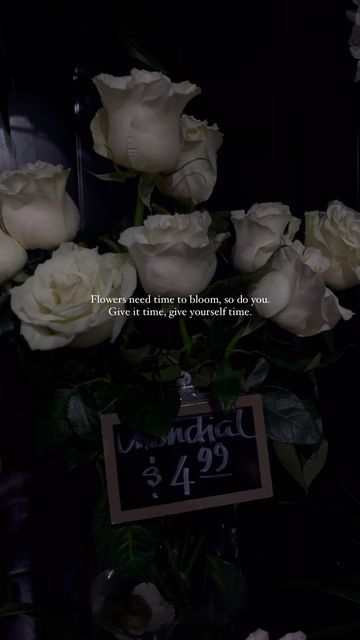 Baigsi on Instagram: "Purest form of love, a bouquet of white roses 🕊 . . . . . . . #reelsvideo #reelitfeelit #lifequotes #fypシ #foryou" Flower Bouquet Quotes, Bouquet Quotes, Bouquet Of White Roses, Rose Quotes, Building Self Confidence, Journal Books, Diy Journal Books, Pure Form, Diy Journal