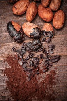 Pure Cacao, Chocolate Photography, Agriculture Photos, Animated Clipart, Cocoa Beans, Cocoa Chocolate, Collage Art Projects, Cacao Beans, Cocoa Nibs