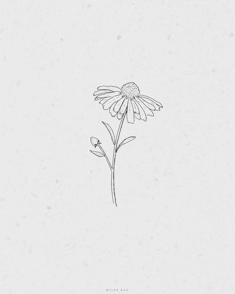 Simple Flower Sketch, Daisy Flower Drawing, Daisy Drawing, Flower Sketch, Minimal Drawings, Flower Line Drawings, Daisy Tattoo, Drawing Tattoo, Calf Tattoo