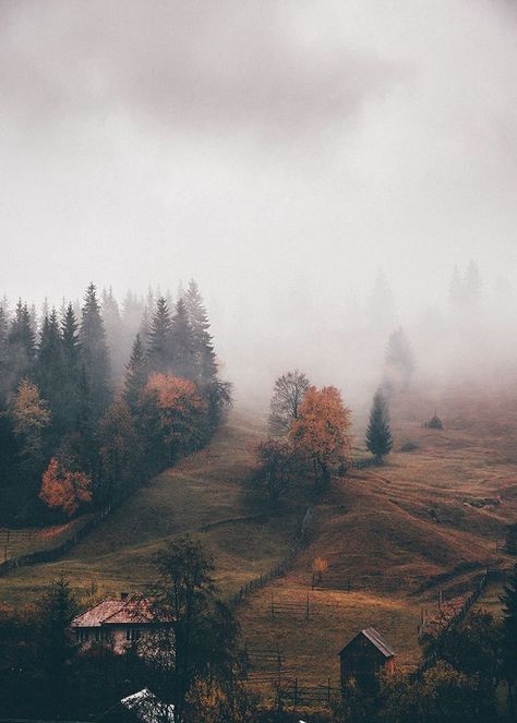 Nature and Autumn, gifts from our planet merging together forming one magical combination.  | Fall | Leaves | Pine trees | Landscape | Mountains | Photography | Wanderlust | Europe | Countryside Landscape Edging Stone, Couple Travel, Landscape Photography Tips, Landscape Edging, Landscape Paintings Acrylic, Landscape Photography Nature, Photo Journal, Photography Wallpaper, Jolie Photo