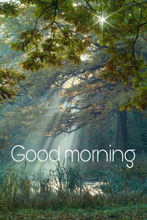 Happy Good Morning, Good Morning Nature Images, Morning Sister, Good Morning Sun, Good Morning Love Gif, Good Morning Sister, Good Morning Greeting Cards, Morning Nature, Good Morning Inspiration