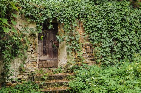 Door covered with Ivy. Door and wall of a house completely overgrown with Ivy , #Ad, #Ivy, #covered, #Door, #wall, #overgrown #ad Medieval Door, Ivy Wall, Lost Garden, Tree Study, Ivy Plants, Scar Tissue, Matte Painting, Garden Doors, Door Wall