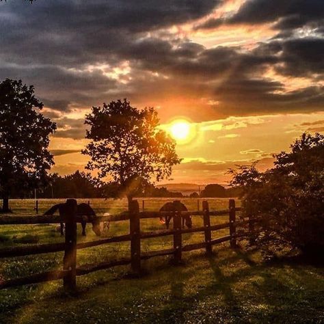 Country Settings Pictures, Sunrise Farm Photography, Sunset Photo Background, Sunrise On The Farm, Farm Sunset Photography, Beautiful Country Scenery, Sunset Farm Aesthetic, Horse Farm Aesthetic, Sunset On Farm