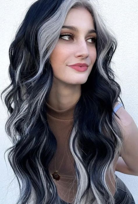 Black With Ash Highlights, Black Hair With Blonde Pieces Underneath, Long Layered Haircuts Goth, Grey And Black Hair Color, Black And Silver Ombre Hair, Gray Hair Black Highlights, Black With Silver Hair, Perimeter Hair Color, Dark Grey And Black Hair