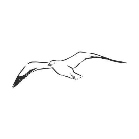 Seagull In Flight, John Tattoo, Dairy Art, Seagull Illustration, Seagull Tattoo, Bird Vector, Funky Tattoos, Sea Tattoo, Beach Art Painting