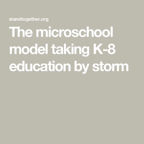 The microschool model taking K-8 education by storm Tax Money, Whiteboard Marker, History Education, Education System, Computer Programming, Social Interaction, Educational Activities, New Opportunities, At School