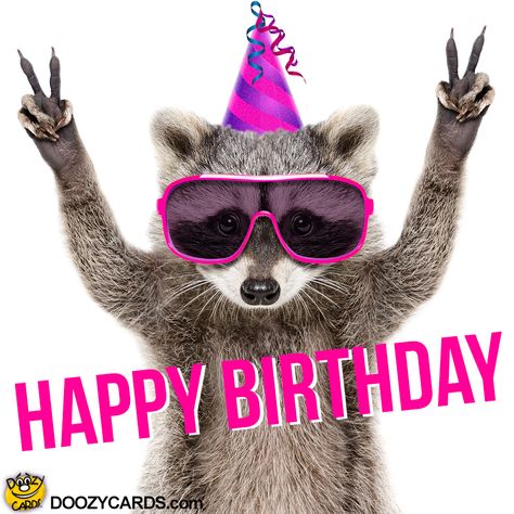 Birthday Raccoon, Funny Happy Birthday Wishes, Birthday Greetings Funny, Birthday Greetings Friend, Birthday Card Sayings, Happy Birthday Art, Happy Birthday Greetings Friends, Happy Birthday Wishes Cards, Birthday Wishes Funny