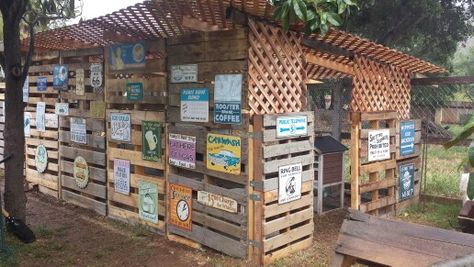 Our Chicken Coop Made from Pallets and lattice Lattice Chicken Coop, Chicken Coop Made From Pallets, Made From Pallets, Mini Farm, Chicken Coops, Yard Ideas, Chicken Coop, Coop, Lattice