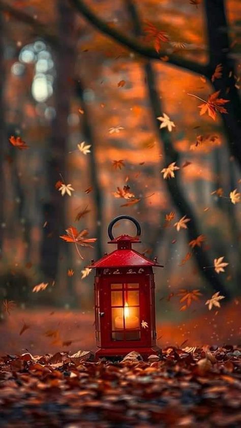 Fall Lights Aesthetic, Nature Photography Autumn, Spooky Autumn Wallpaper, Cute Autumn Wallpaper Iphone, Aesthetic Fall Images, Autumn Beauty Wallpaper, Fall Images Wallpaper, Autumn Pictures Art, Autumn Background Wallpapers