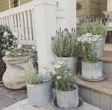 A blog about farmhouse style design, country living, home decorating, family and parties. Moderne Have, Metal Buckets, Farmhouse Front Porches, Summer Porch, Farmhouse Porch, Farmhouse Front, בר מצווה, Front Porch Decorating, Garden Stuff