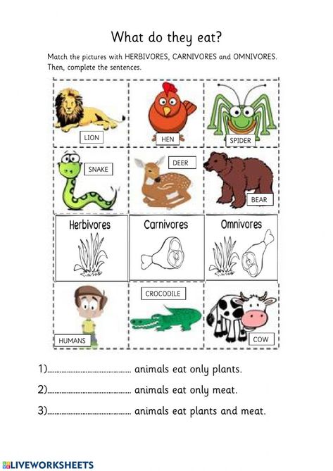 Carnivores Herbivores Omnivores, Food Web Worksheet, Animal Worksheets, Learning English For Kids, Science Worksheets, Animal Habitats, Educational Worksheets, Free Printable Worksheets, Worksheet Template