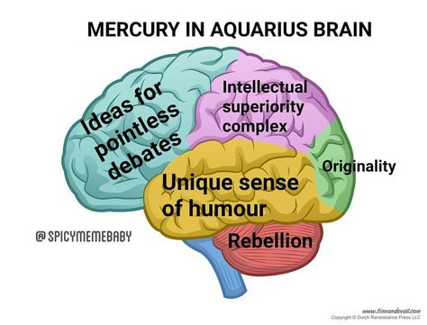 Mercury in Aquarius Aquarius Mercury, Aquarius Moon Sign, Mercury In Aquarius, Astrology Calendar, Mercury Sign, Aquarius Aesthetic, Aquarius Traits, Pisces And Aquarius, Numerology Life Path