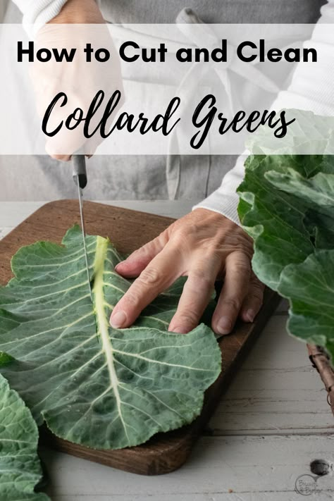 Here you’ll find a few tips on how to cut and clean collard greens. Good preparation is key to ending up with delicious greens every time! Collard Greens Recipe Soul Food, Collar Greens, How To Cook Collards, Greens Recipe Soul Food, Smoked Turkey Wings, Southern Collard Greens, Collard Greens Recipe, Italian Sausage Soup, Chicken Base