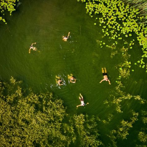 BoredPanda Lithuanian Ancestry, Propeller Wall Decor, Birdseye View, Lake Fun, View Photography, Drone Images, Green Lake, Marmont Hill, Lake Wall Art