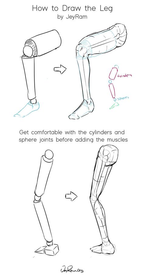 How To Draw Legs, Legs Sketch, Anime Anatomy, Leg Drawing, Leg Reference, Leg Anatomy, Drawing Legs, Human Body Drawing, Perspective Drawing Lessons