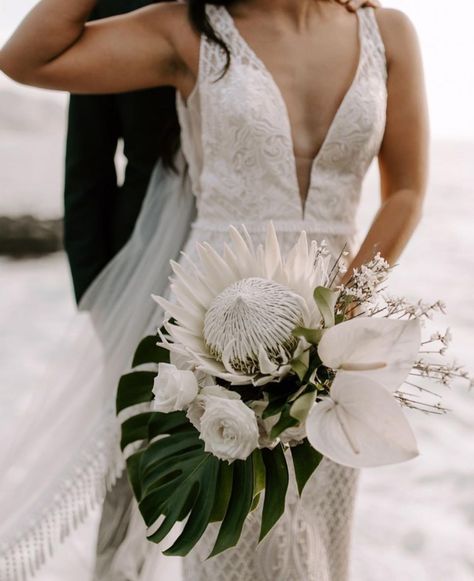 Hawaii Wedding Florist on Instagram: “simple tropical white + green making a bold statement 🤍 when I got my hands on the king of king protea I took a few moments to fangirl…” Protea Bouquet Wedding, Elope In Hawaii, Boho Wedding Dress Designers, Hibiscus Wedding, Tropical Bridal Bouquet, Oahu Elopement, Elopement Hawaii, Tropical Wedding Bouquets, Protea Wedding