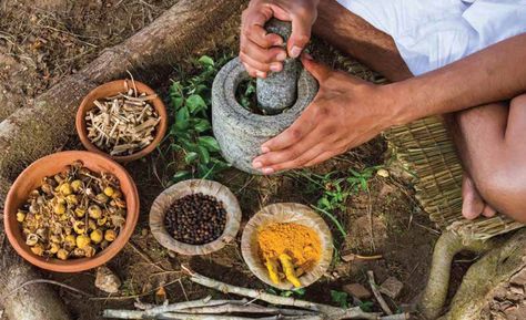 Roots of Sri Lankan Traditional Medicine Ayurvedic Hair Care, Kidney Stone, Ayurvedic Doctor, Ayurvedic Hair, Ayurvedic Remedies, Holistic Approach To Health, Ayurvedic Herbs, Ayurvedic Medicine, Traditional Medicine