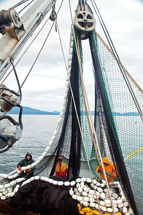 What it's like to work on a commercial fishing boat in Alaska Boats Photography, Commercial Fishing, Alaska Fishing, West Coast Trail, Duck Boat, Fishing Techniques, Fishing Supplies, Ice Climbing, Boat Plans