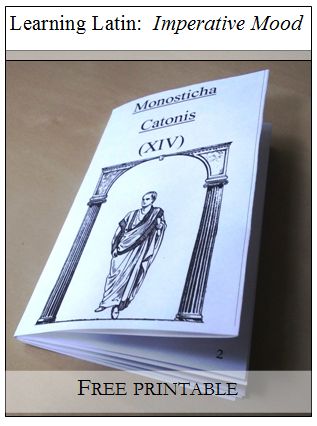 Printable book to make with kids teaching Imperative Verbs using real Latin! Well Ordered Language, Imperative Verbs, Latin Language Learning, Learning Latin, Learn Latin, Latin Grammar, Teaching Latin, Ancient Book, Language Learning Apps