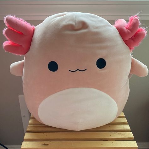 Squishmallow Archie Axolotl 12" | Mercari Cute Squishies, Kawaii Plush, Kawaii Plushies, Cute Pillows, Cute Stuffed Animals, Cute Toys, Cute Plush, Animal Pillows, Fidget Toys